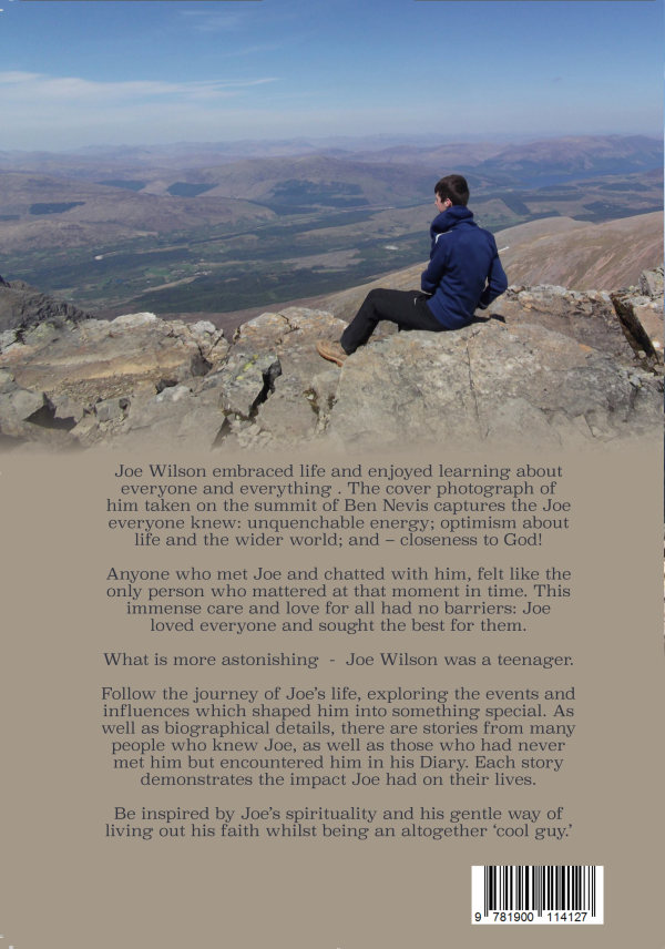 Book - Biography of Joe Wilson by Jane Burns